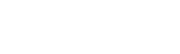ppdplay logo